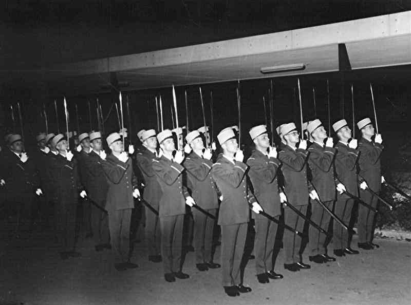 m35 (Medium).jpg